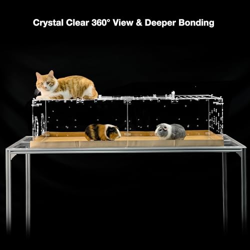 GuineaLoft™ Model-A1 Acrylic Guinea Pig Cage w/Clear Acrylic Lid | Includes Supporting Beams & Connecting Doors; Large 4'x2'x1' Expandable C&C Cage Also For Bunnies, Quails, & Hedgehogs - color: Model-A1