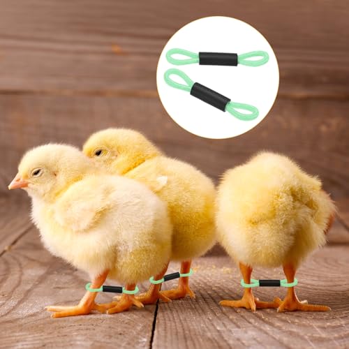 M METERXITY 100-Pack Adjustable Chick Leg Bands, 1.38" x 0.2" Polyester Chicken Leg Brace for Chicks/Ducks/Birds [Green] Poultry Leg Bands - color: Green