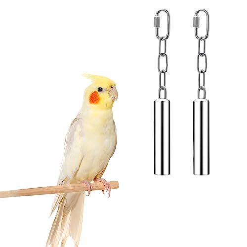 Wontee Stainless Steel Bell Toy Bird Cage Hanging Bite Toy for Parrot Parakeet Budgie Cockatiel Conure African Greys (2 PCS-S) - size: 2 PCS-S