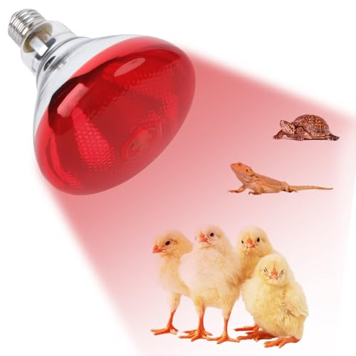 250W Red Heat Lamp Bulbs for Chicken,Infrared Flood Light Heat Lamp Bulb, Incandescent Light Heat Lamps for Chicks, Reptile, Pets, Par38 Glass E26 Base - size: Par38 250W 1PCS