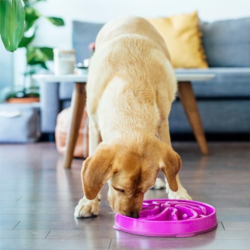Outward Hound Fun Feeder Slo Bowl – Large 4‑Cup Capacity, Slow Feeding, Medium to Large Dogs, Non‑Slip, Purple, Flower Pattern - color: Purple, size: Large