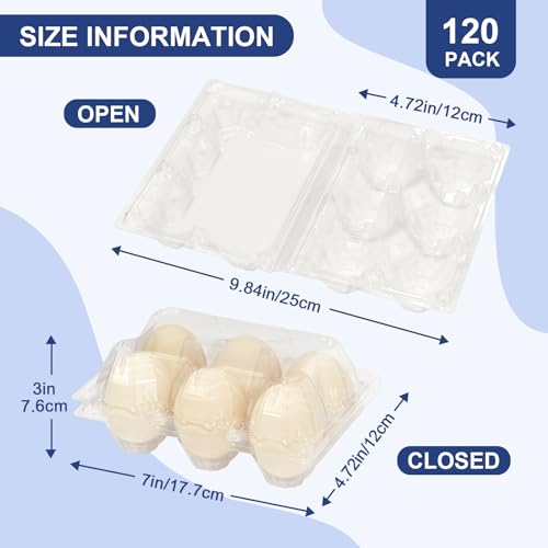 Pintuson Large 120 Pack Jumbo Egg Carton - 6 Count Duck Cartons Bulk - Exact Large Half Dozen - color: Large-120PK-6CT