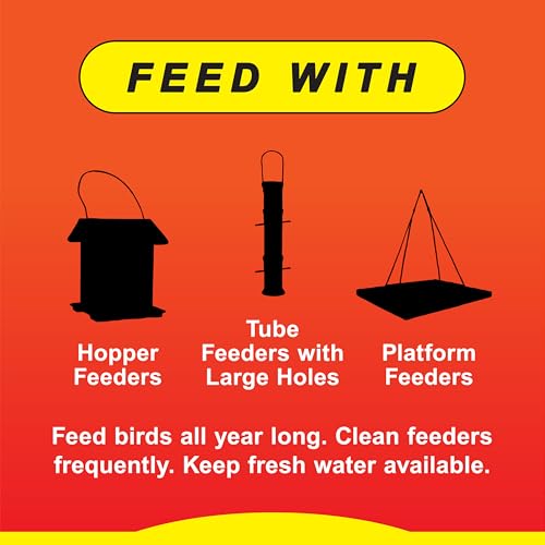 Wild Delight Sizzle N' Heat Bird Food, 5 lb (372050) (Pack of 2) - size: 5 Pound (Pack of 2), style: Sizzle N' Heat 5lb