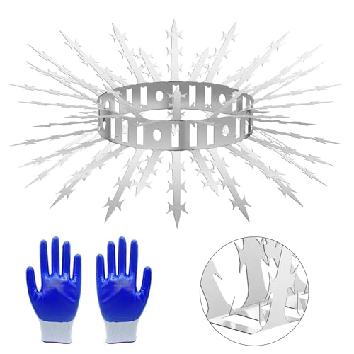 Bird Spikes for Outside 5 Pack 3.2 FT Stainless Steel Deter Pigeon Squirrel | Made of durable stainless steel, effective deterrent for pigeon, squirrel, cat, raccoon and snake - size: 3.2 FT