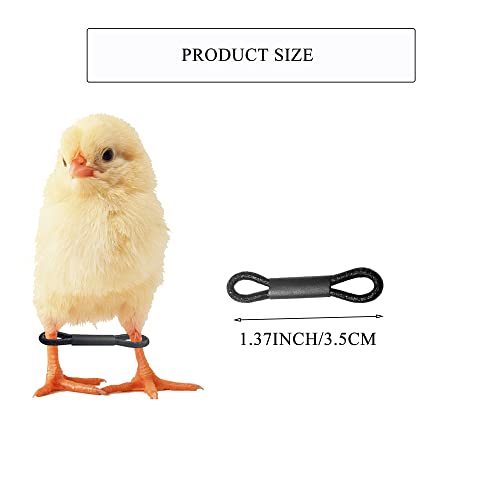 100 Pcs Baby Chicken Splay Leg Bands Poultry Adjustable Hobble Brace | Adjustable leg bands. For newborn chick, quail, duck. Splay leg, spraddle leg fix. 1-3 days newly hatched. Poultry accessory