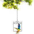 Hummingbird Swings and Perches 6.7x5.1in Humming Bird Swing | Hummingbird Perch for Hanging Indoor Outdoor Trunk Lawn Patio Garden