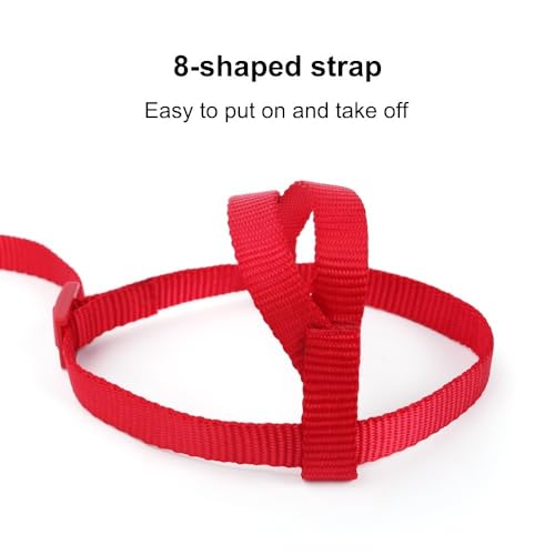 Parrot Harness Leash, Anti Bite Bird Training Leash Adjustable Parrot Flying Rope for Parrot Budgerigar Lovebird Cockatiel