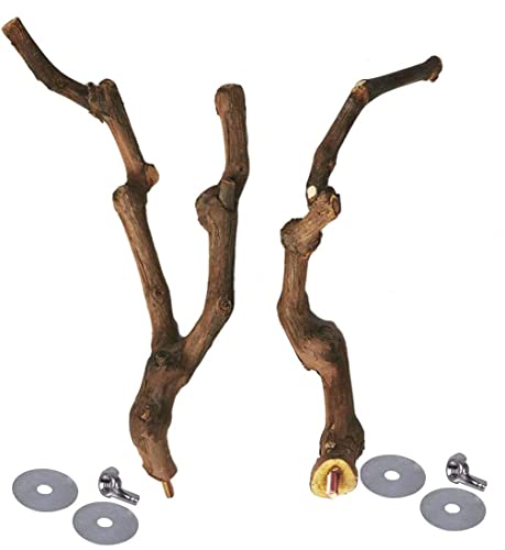 Natural Parrot Perch Wild Grape Stick Bird Standing Pole Claw Grinding Fork Parrot Climbing Standing Branch Toy Chewable Cage Accessory Small Budgies Love Birds 4PCS