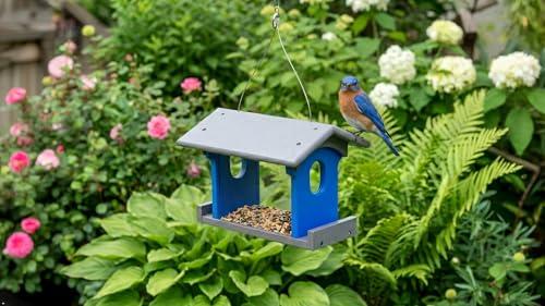Bluebird Feeder - Poly Lumber - Hanging Blue Bird Feeder for Mealworms (Gray and Blue) - color: Gray and Blue