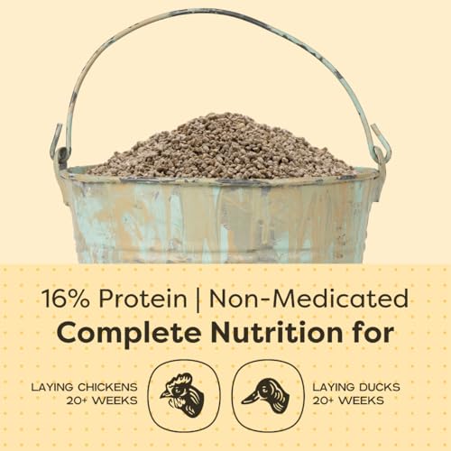 Scratch and Peck Feeds | Layer Crumbles for Chickens & Ducks | 25 lb Bag | 16% Protein, Corn & Soy Free, Certified Organic & Non-GMO Project Verified, Complete Nutrition - size: 25 Pound (Pack of 1), style: Layer