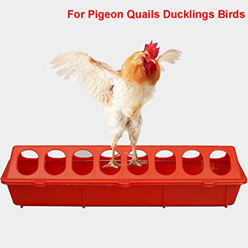 2Pcs Plastic Flip Top Chicken Feeders Plastic Small Poultry Feeder Drinker, Poultry Feeding Tray with Holes Poultry Trough Tool for Farm Chick Feeder