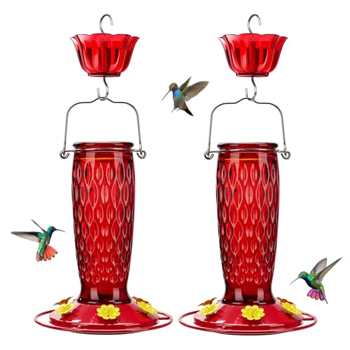 Kingsyard 2 Pack Glass Hummingbird Feeder for Outdoors with Ant Moat | 24 oz, Wide-Mouth Opening, 6 Metal Feeding Ports, Bee Guard, Easy to Clean & Refill Nectar, 360 Degree Perch, Red - color: Red