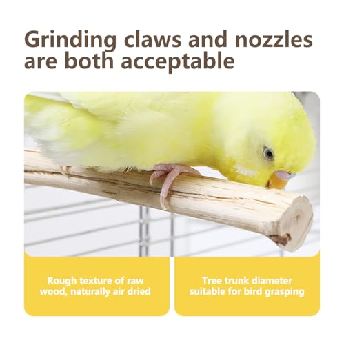 Natural Wood Bird Perch for Cage – Chewing & Claw Trimming Perch Toy for Parrots, Cockatiels, Budgies (Small 6.9") - size: Small 6.9"