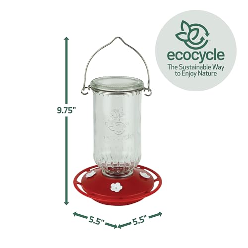 Ruby Roost Recycled Glass Hanging Glass Hummingbird Feeder for Outdoor Décor, 17 Ounce Capacity Nectar Feeder, 4 Removable Easy Clean Ports, Clear - style: Ruby Roost