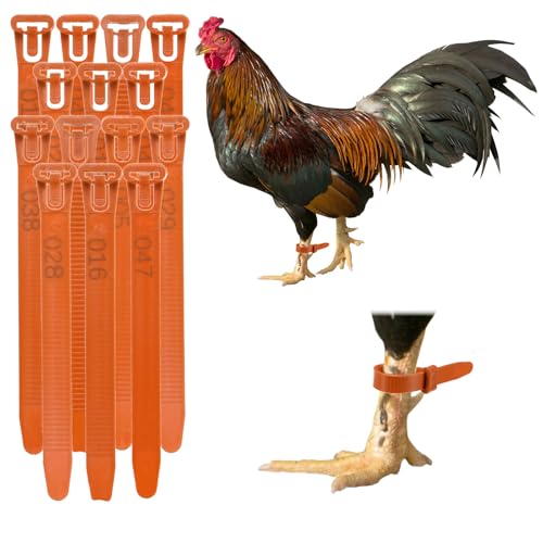 M METERXITY 100-Pack Adjustable Chicken Leg Bands, 10-28 mm Plastic Poultry Identification Chicken Leg Rings for Turkey/Duck/Goose/Chicks, Colorful Numbered Foot Clip on Tags [Orange] - color: Orange