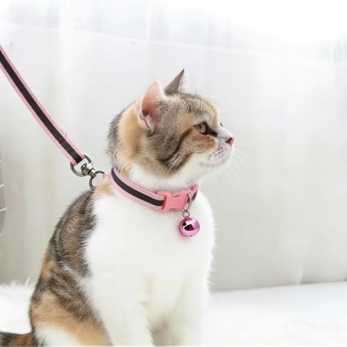 XXS Dog Collar with Bell Leash Set, Nylon Basic Reflective Puppy Collars for Boys Girls Xs Small Cat Pet Animal Litter Tiny Kitten, Fluorescent Green - color: Fluorescent green