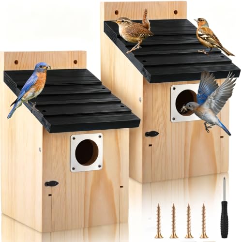 Dreyoo Bluebird Houses for Outside, 1-1/2” Entrance Hole Wooden Bird Houses for Outdoor with Metal Predator Guard, Secure Latch, Fledgling Grooves, Air Vents(Black Roof, Wood Body) - color: Black Roof, Wood Body
