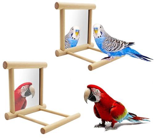 Blessed Family 2 Piece Bird Parakeet Mirror for Cage,Parrot Perch Stand,Wooden Hummingbird Swing Toy,Parakeet Accessories for Cockatiels Conure Finch Lovebird Canary African Grey Macaw