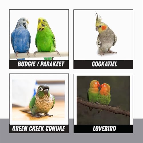 Impeckable Bird Toys 1050 18 Inch Small Rope Perch Flexible Cage Accessory