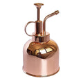 Plant Mister Spray Bottle Stainless Steel Plant Sprayer, Small Watering can Plant Spray Bottle Modern Gardening Tools for Indoor Potted Plants Watering and Spraying - color: 10oz/ Rose Gold