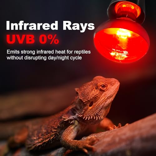MIXJOY 100W Infrared Heat Lamp Bulbs, 2 Pack Reptile Infrared Heat Emitter Red Heat Lamp Bulbs Infrared Basking Light Bulbs for Reptiles, Bearded Dragon, Lizard, Tortoise, Chickens, Pets - style: 100W Infrared Bulbs