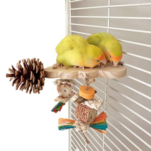 Parrot Toys, Parrot Wooden Toys Long Tailed Bird Toys with Pure Natural Corn Sticks and Pure Natural Pine Cones, Fun Bird Cage Accessories