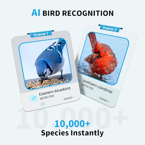 Smart Solar Bird Feeder with Camera & Outdoor Bird Bath | 2K HD Dual-Lens, AI Bird Identification, Instant Mobile Alerts, IP66 Weatherproof, Ideal for Outdoor Bird Watching - color: BLUE