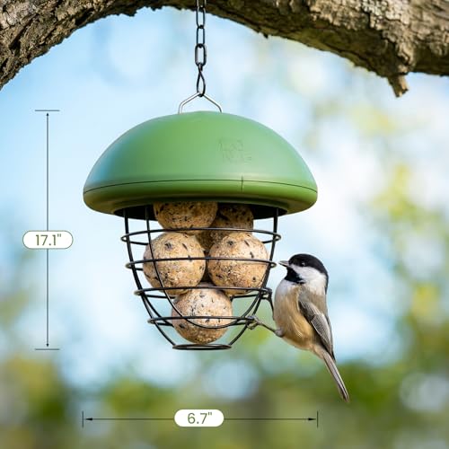 LONA Suet Ball Bird Feeder Outdoor Hanging Fat Ball Feeders with Versatile Mount Durable Weatherproof Washable Transparent Tube Wire Steel Metal Feeder for Wild Birds - style: Style2-Normal Cage