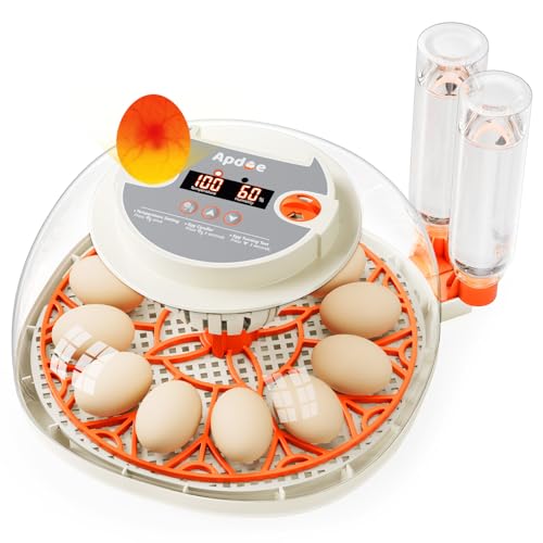APDOE Egg Incubators for Hatching Eggs, Temperature and Humidity Control, Automatic Egg Turning, Egg Candler, External Water Bottle, Air Vent, for Chicken, Duck & Quail Eggs, 12 Eggs - color: Orange, size: 12 Eggs