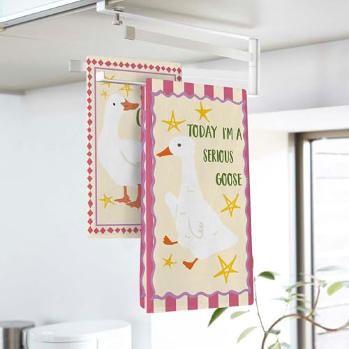 Silly Goose Kitchen Dish Towels Set of 2, Funny Today I'm a Serious | Goose Drying Hand Towel Baking Cooking Cloth, Farmhouse Bathroom Home Decoration Geese Lover Friend Gifts 18'' x 26'' - color: Daily-2