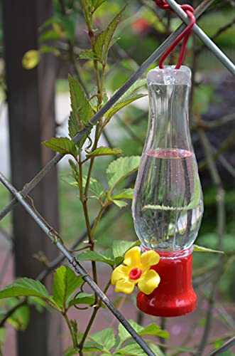 Mini Hummingbird Feeder 4 Pack 2.3oz Small Nectar Plastic Red Cute Hummingbird Feeders with Hanging Wires for Outdoor (Tulip Tube) - style: Tulip Tube