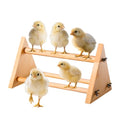 Chicken Perch for Coop -size13 L x 5.9" W x 6.5" H- Heavy Duty Poultry Roosting Bar with Natural Pine Wood-Durable Chicken Coop Accessories，Chick Perch Training Toys for Bird Baby Chicks Parrot