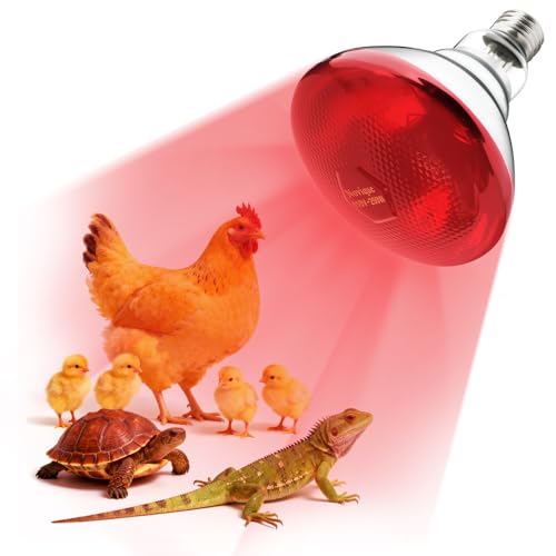250W Heat Lamp Bulbs 1 Pack Infrared Heat Lamp for Chickens with E26 Socket and 5000 Hours Lifespan Heat Light Bulb for Pets Chicks Reptile Food Service Brooder Coop - size: 1 Pack