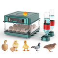 Automatic Egg Incubator 12-38 Egg Digital Poultry Hatcher Machine ith Automatic Egg Turning, Temperature & Humidity Control, Efficient LED Lighting for Chicken Geese Ducks Pigeons Quails (12 Eggs) - style: 12 Eggs