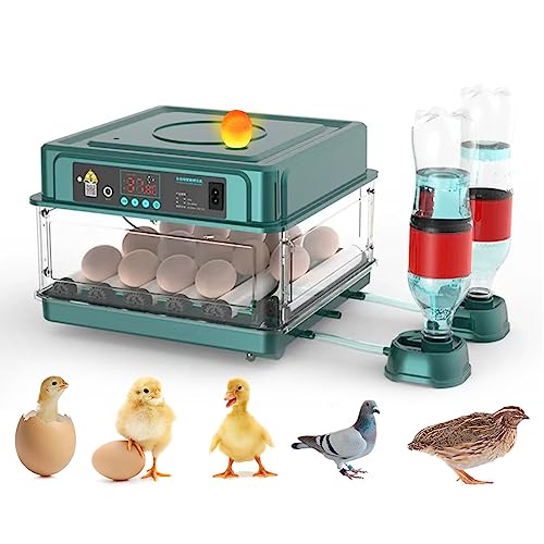 Automatic Egg Incubator 12-38 Egg Digital Poultry Hatcher Machine ith Automatic Egg Turning, Temperature & Humidity Control, Efficient LED Lighting for Chicken Geese Ducks Pigeons Quails (12 Eggs) - style: 12 Eggs