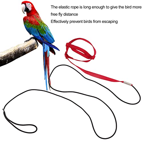 Elastic Parrot Harness Leash Bird Leash Bite Proof Harness Adjustable Parrot Flying Training Rope with Metal Hook Nylon Webbing for Cockatiels Walking (L) - size: L