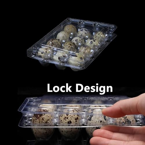 Honkenda Clear Plastic Quail Egg Cartons, 12 Tray Small Eggs Carton Holders Container, PVC Stackable Egg Storage Box with Hinge Lid, 12 Grids Egg Protection Box for Pheasant Pigeon (50 Pack)