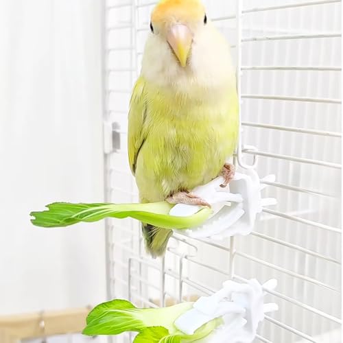 10 Pieces Millet Holder for Bird Cages, White Plastic Fruit, Vegetable, Snacks Food Feeder Clips Cuttlebone Holder for Small Bird Parrot Parakeet Budgie Cockatiel Conure Cockatoo Macaw Cage Accessorie - color: White