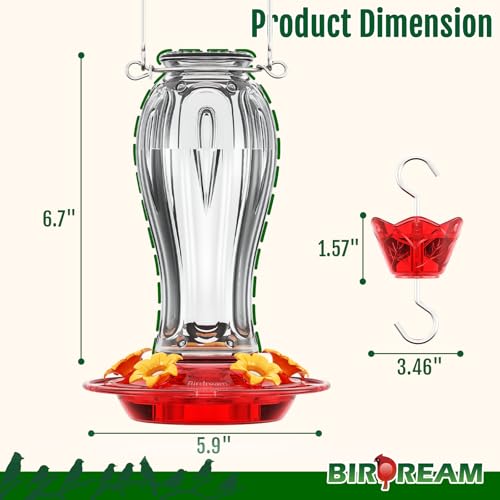 Birdream Glass Hummingbird Feeders, 18oz Large Capacity, Clear | 5 Feeding Ports, Built-in Ant Moat, For Outdoors Hanging, Decorative for Garden Patio Backyard - color: Clear