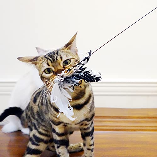 TTcat Cat Wand Toys,Interactive Bird Simulation Toy Set,Fishing Pole,35'' Flexible Steel Wire and 4Pcs Feather Refills,Teaser Toys for Indoor Cat and Kitten.