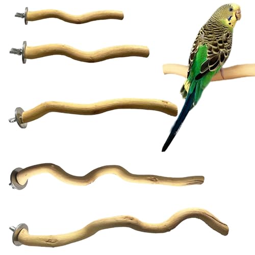 5 PCS Natural Parrot Perch Bird Stand Wooden Parrot Perch Stand Parakeet Climbing Standing Branches Toy for Small Lovebirds Budgies Cockatiels