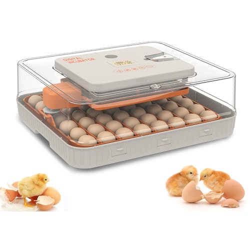 Egg Incubator for Hatching 56 Chicken, Duck, Quail & Goose Eggs – Automatic Egg Turner, Humidity & Temperature Control, Built-in LED Candler, Auto Water Refill, 360° Clear View Digital Poultry Hatcher