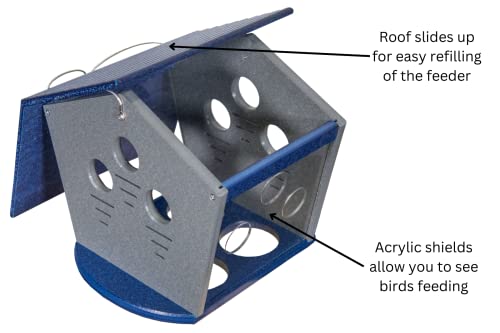 Ultimate Enclosed Bluebird Feeder - Keeps Starlings and Bully Birds Out - Holds 2 Cups Dried Mealworms