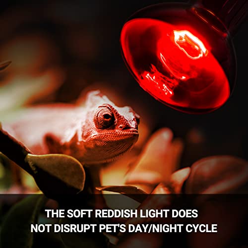 REPTI ZOO 75W Reptile Heat Lamp Bulb, 2PCS Day & Night Basking Spot Light Combo Pack Includes Infrared Heat Lamp and UVA Daylight Heating Lamp Basking Light - style: Day & Night Heat Lamp