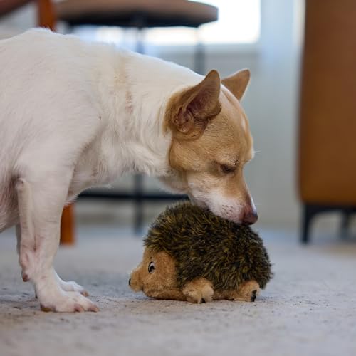 Outward Hound Hedgehogz Plush Dog Toy, Squeaks, Small, 6" x 4.5" | Soft Realistic Faux Fur, Round for Rolling & Chasing, Cuddle & Carry, Interactive Fetch, Light Chewers, Dogs & Puppies - size: Small (Pack of 1)