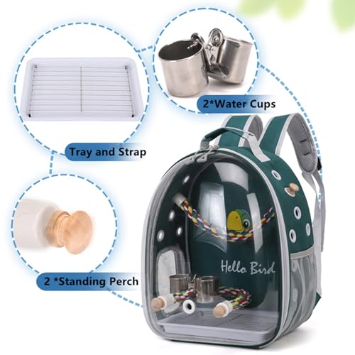 Bird Traval Carrier Cage Backpack for Carry Parakeet Cockatiel Parrot | Multi Vent Holes Clear Space Capsule Astronaut with Metal Tray Wood Perch, Vet Transport Book Bag (Green)