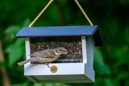 Birds Choice Modern Farmhouse Medium Hopper Bird Feeder | Black/White | Includes Nylon Hanging Rope, 3lb Seed Capacity, Made in USA, Rustic Recycled Materials - color: Black/White