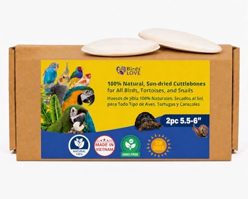 Birds LOVE 5.5-6″ Cuttlebone for Birds – 100% Natural Sun-Dried Calcium & Beak Conditioning Supplement for Parakeets, Budgies, Cockatiels, Finches & Canaries – 2 Pack with Holder – Made in Vietnam - size: 2 Count (Pack of 1)