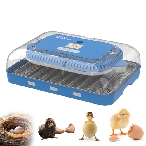 Egg Incubator for Hatching 70 Chicken, Duck, Quail & Goose Eggs – Automatic Egg Turner, Humidity & Temperature Control, Built-in LED Candler, Auto Water Refill, 360° Clear View Digital Poultry Hatcher
