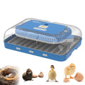 Egg Incubator for Hatching 70 Chicken, Duck, Quail & Goose Eggs – Automatic Egg Turner, Humidity & Temperature Control, Built-in LED Candler, Auto Water Refill, 360° Clear View Digital Poultry Hatcher